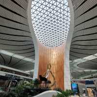 The imposing, nice, elegant DAX airport in Beijing
