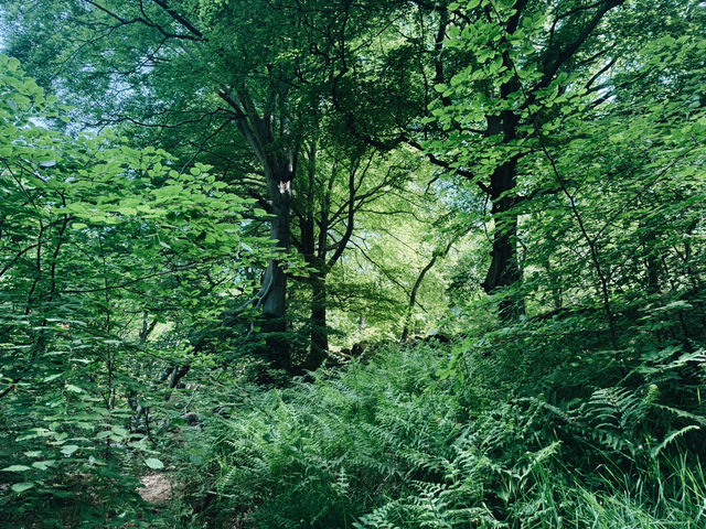 🏞️☀️ The Peak District: Your Dream Summer Escape (Without the Price Tag!)