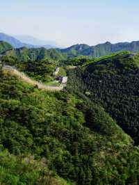 Greenery at the Great Wall