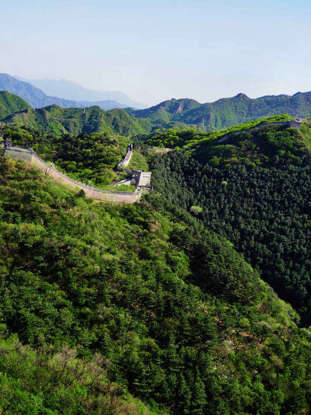 Greenery at the Great Wall