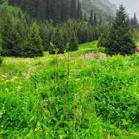 Into the mist of Ala Archa Nationak Park