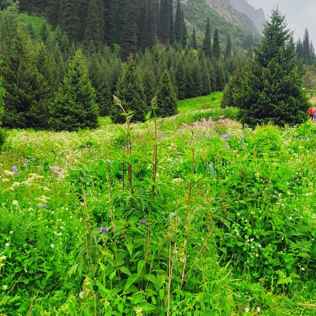 Into the mist of Ala Archa Nationak Park