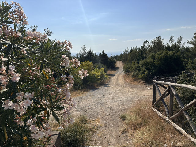 Half day hike to Kranos hill