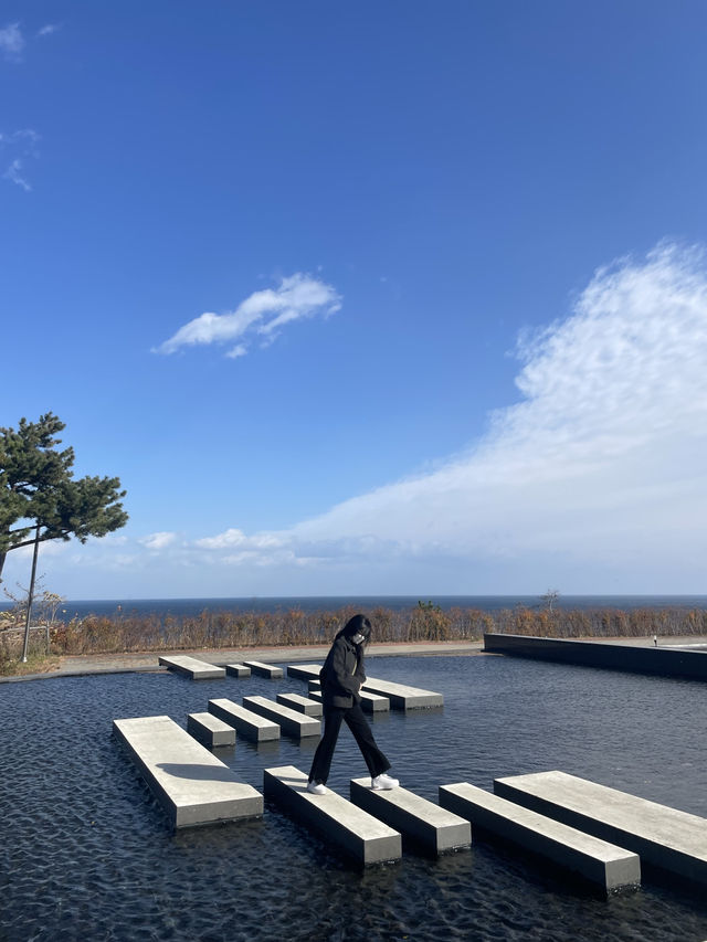 🌊 동해안의 물결과 대전의 고요, 다른 결을 걷다 🛤️