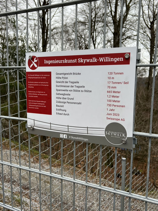 Above the trees, beyond the ordinary — welcome to Skywalk Willingen 🇩🇪🌉🌲