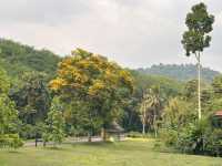Beautiful hot springs in Ranong