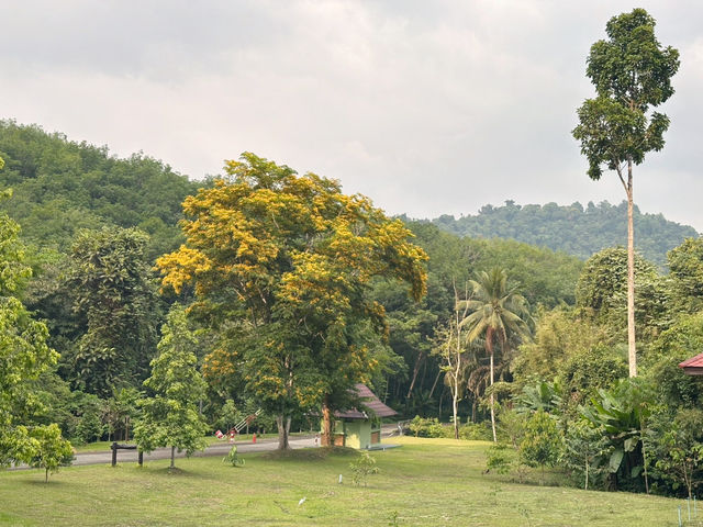 Beautiful hot springs in Ranong