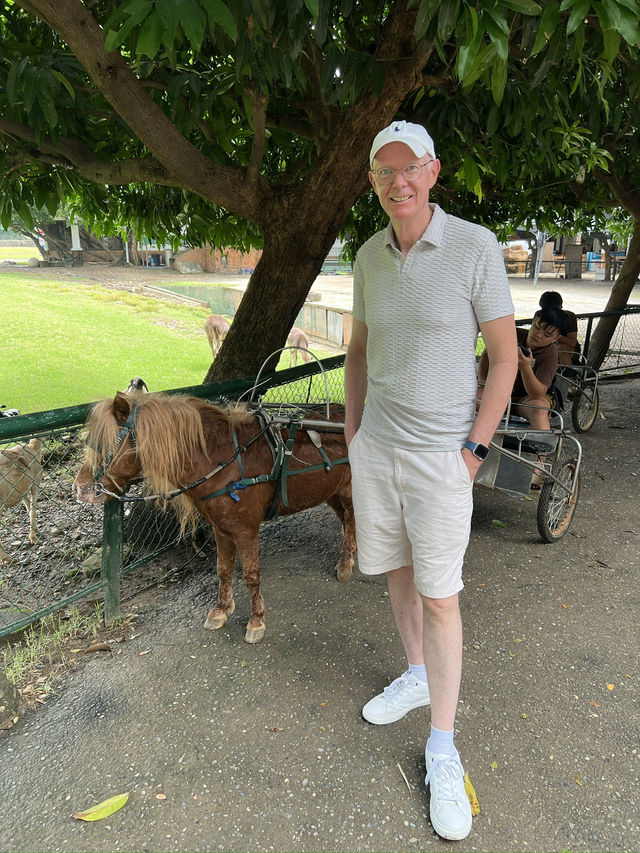 🦁🌿 Vigan Safari Adventure – Where the Wild Roars in the North! 🌿🦓