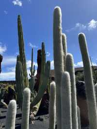 The Cactus Garden in Lanzarote: Volcanic Landscapes, Art, and a Restaurant With a View