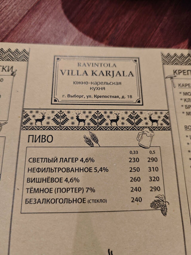 Villa Karjala in Vyborg