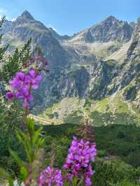 ✨Zelene Pleso is a hidden gem of Tatras!✨