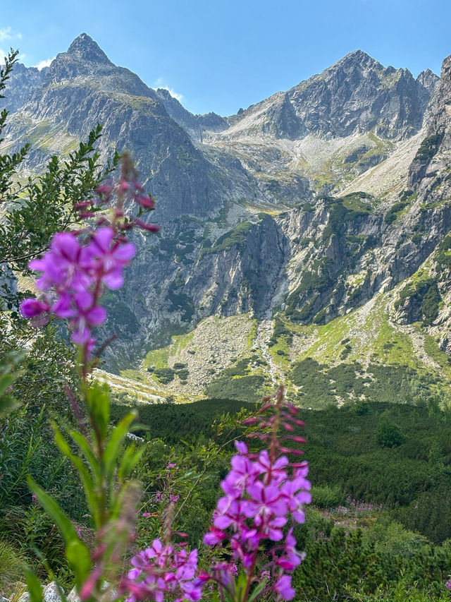 ✨Zelene Pleso is a hidden gem of Tatras!✨