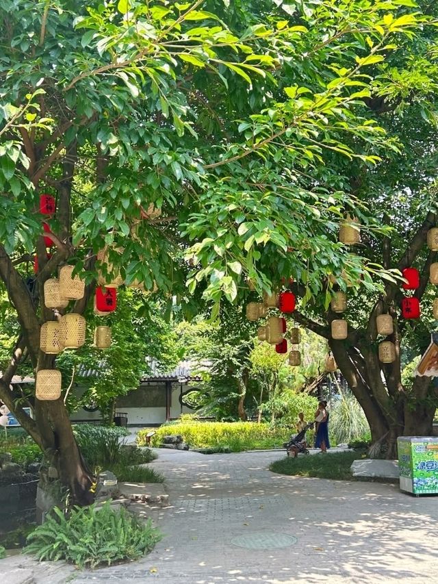 Chengdu Autumn Magic🍁 Chengdu Autumn Magic🍁