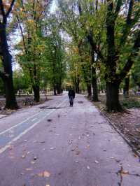 King Michael’s park 