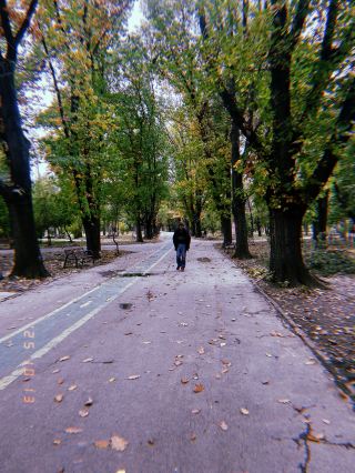 킹 마이클 공원