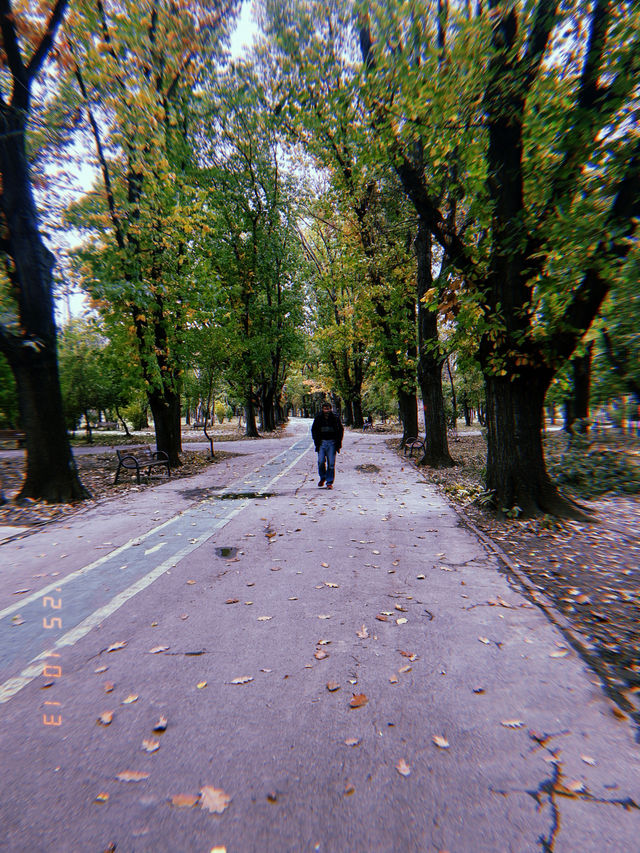 King Michael’s park 
