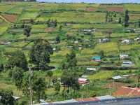 Wild Hearts & Golden Horizons: Fall Safari in Kenya