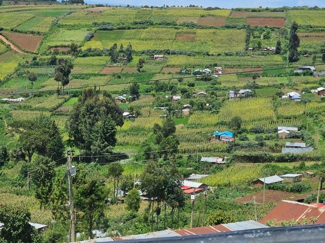 Wild Hearts & Golden Horizons: Fall Safari in Kenya Wild Hearts & Golden Horizons: Fall Safari in Kenya
