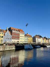 Architectural Gems🏛️