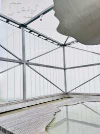 Panevėžys: Lithuania’s Quiet Heart of Culture and Charm