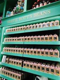 Welcome to the magical world of Harry Potter in central Tokyo! ✨⚡