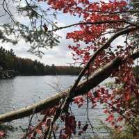 Algonquin Provincial Park