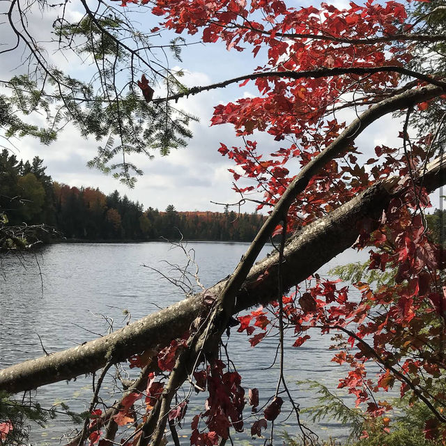 Algonquin Provincial Park