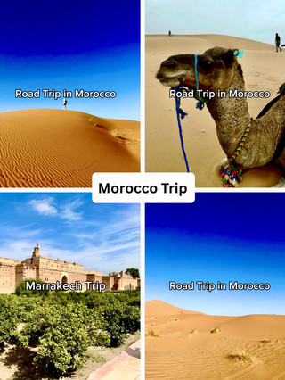 Desert Majesty