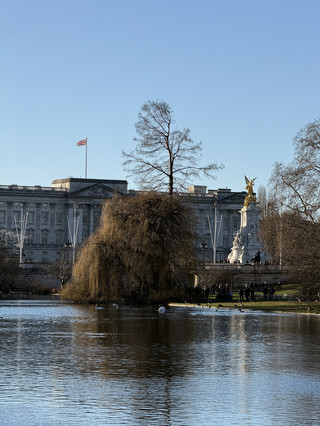 London's Buckingham Palace and Green Park: A Half-Day Nature and Landmark Experience