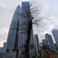 Getting to know Shenzhen Talent Park