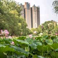 Xi'an's Neighbour City