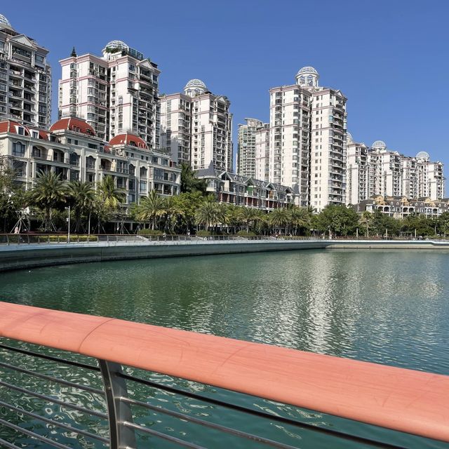 Shenzhen bay Shekou, Miami 😎