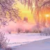 AlaricSolstice234=