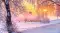 AlaricSolstice234=