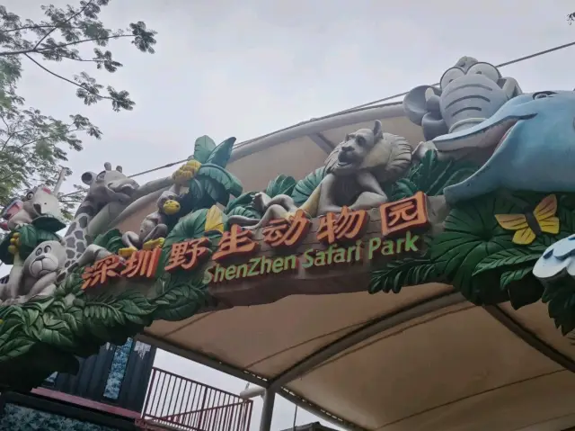 Meet the Wildlife in Shenzhen Safari Park