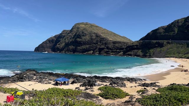 Hawaii's must-visit park attraction - Sea Life Park.