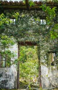 Tamen Island camping, MacLehose Trail Stage 2 | Hong Kong