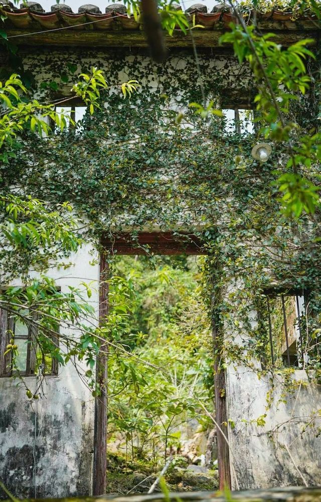 Tamen Island camping, MacLehose Trail Stage 2 | Hong Kong