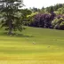 WarpSpeed_678