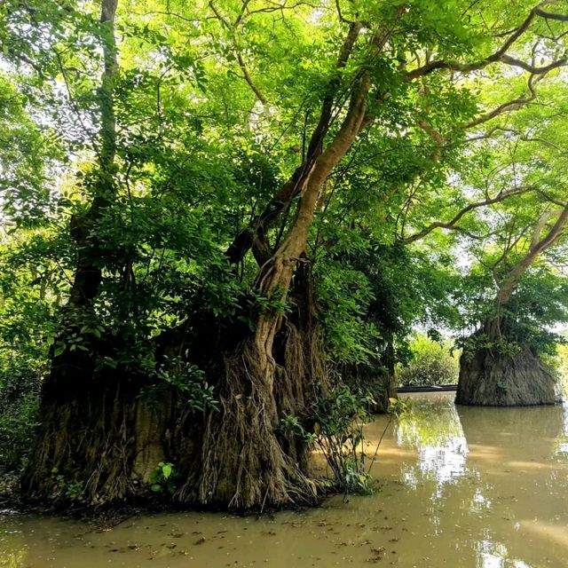 🛶When The Forest Gets Flooded Water 🛶