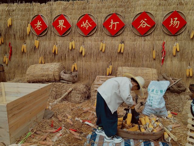 河南老界嶺/萬畝彩林太震撼了，一定要來感受這裡的秋色大餐！