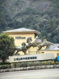 三清山,在14億年花崗岩包圍中的秀美石林