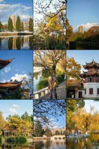 深秋的翠湖公園真的太美了（附攻略）