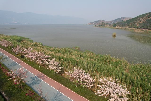 異龍湖是雲南省九大高原湖泊之一，是石屏人民的母親湖，屬省級風景名勝區