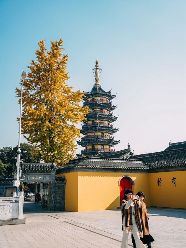 別錯過定慧寺，一起來欣賞這金黃的秋色吧！