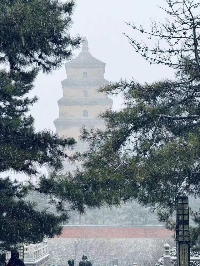 大雁塔旁的寶藏酒店