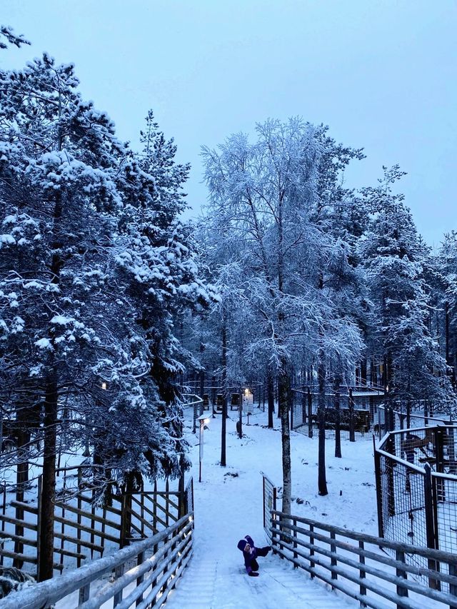 芬蘭的冬天真的美得超出你的想像