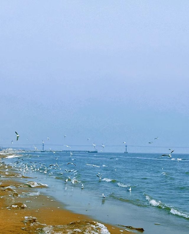 城市C位出道計劃||秦皇島|北戴河