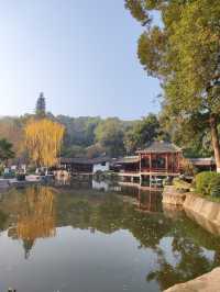 小寒節氣西山公園賞蠟梅