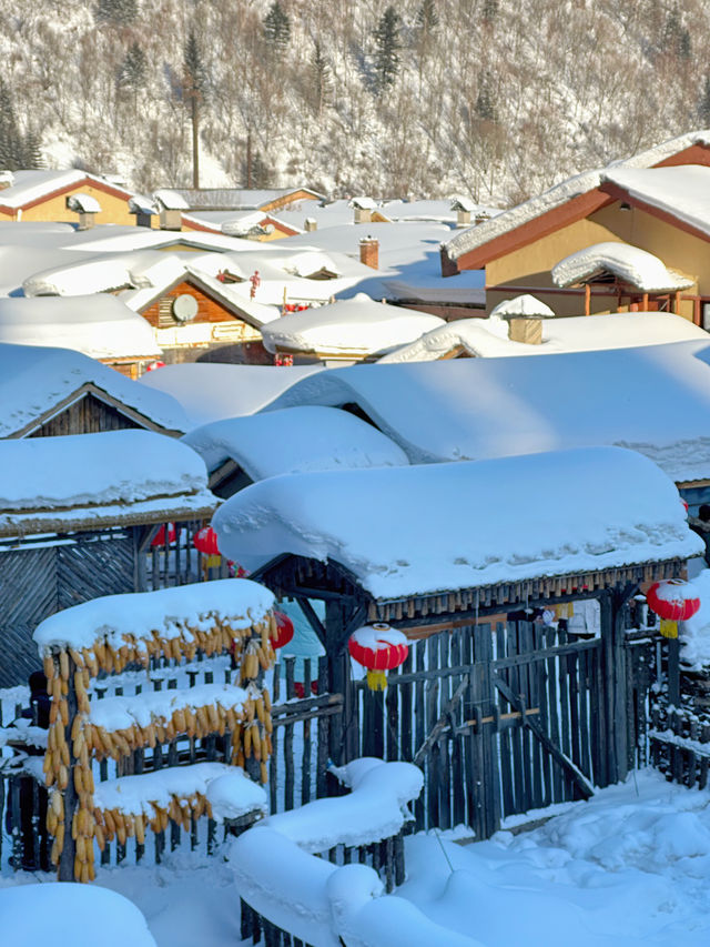 雪鄉、雪谷兩日遊｜雪谷徒步反穿羊草山版